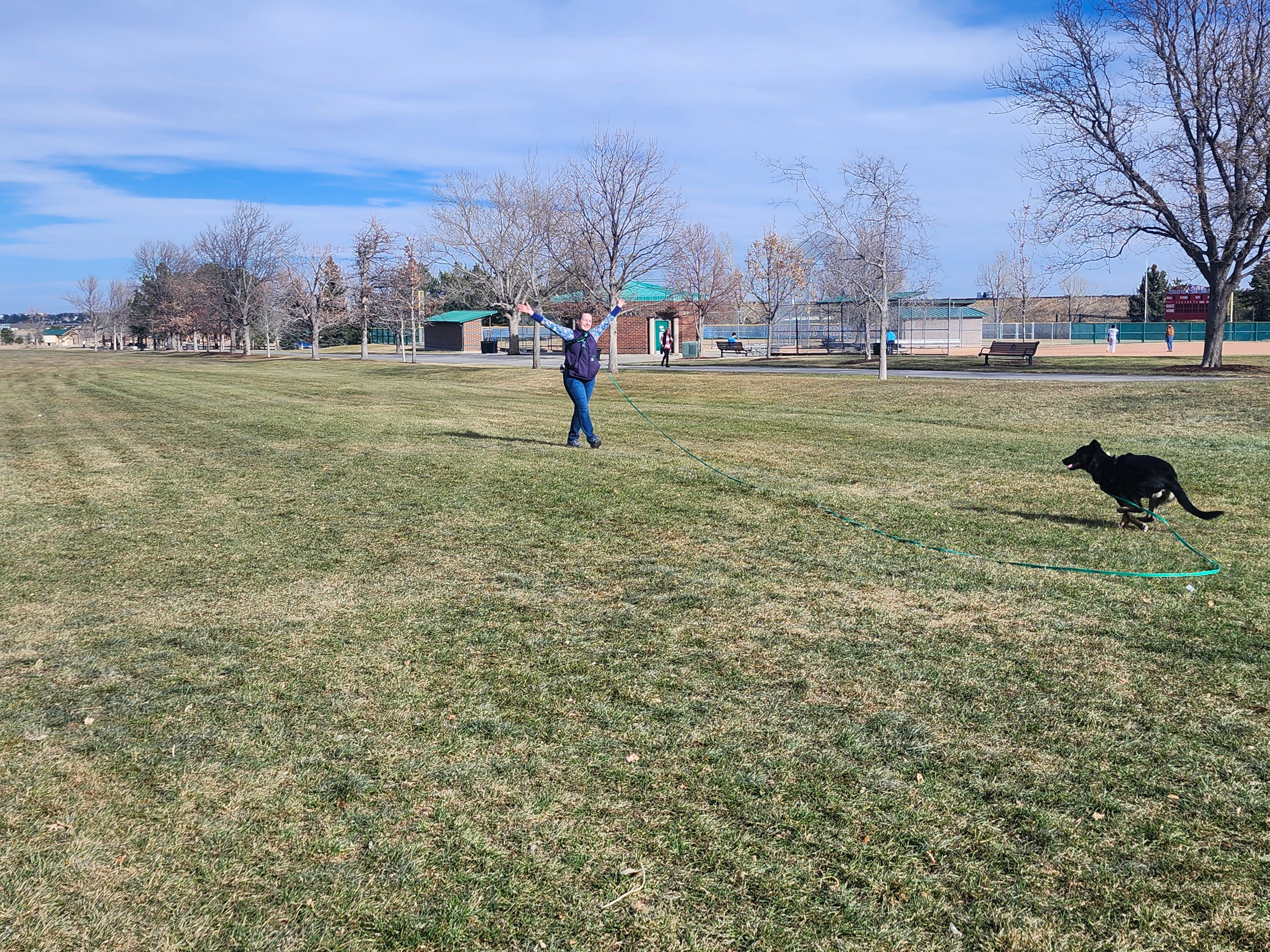Person standing in a grassy park with a dog running nearby, trees and buildings in the background, clear sky.