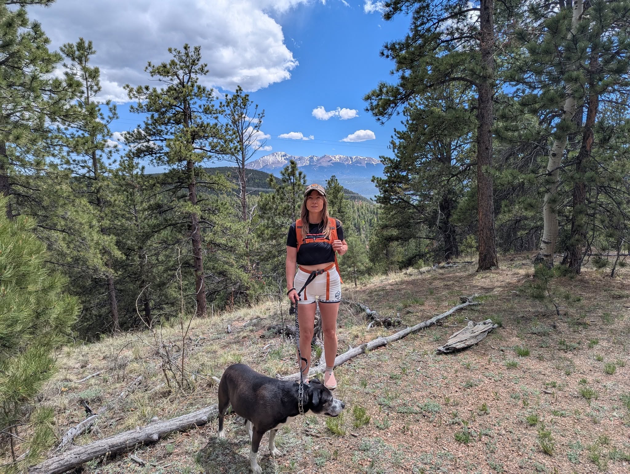 Person standing on a trail with a dog, surrounded by trees and a mountain view, under a partly cloudy sky.