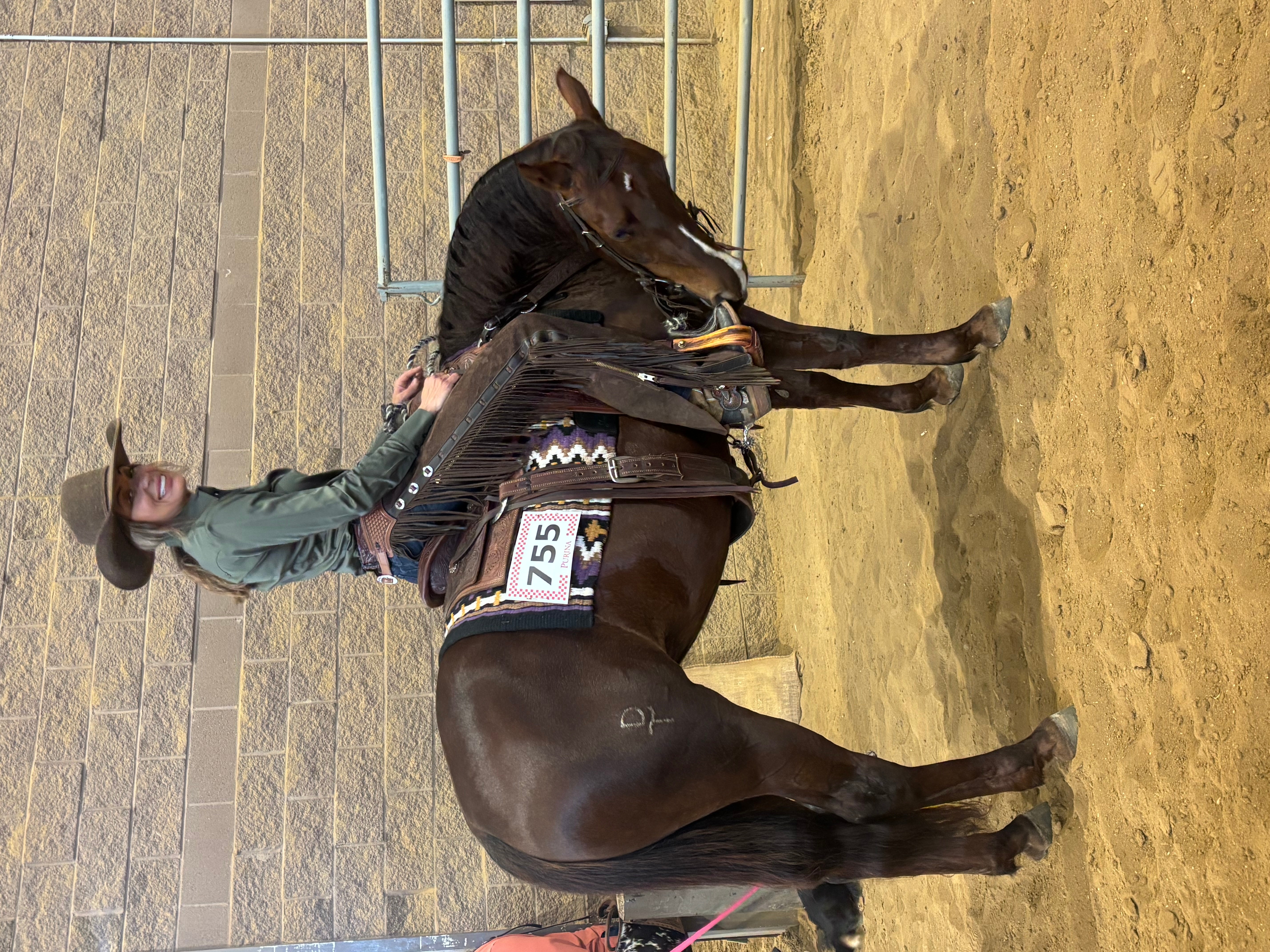 Person in riding attire on a dark horse inside an indoor arena with a sandy floor.