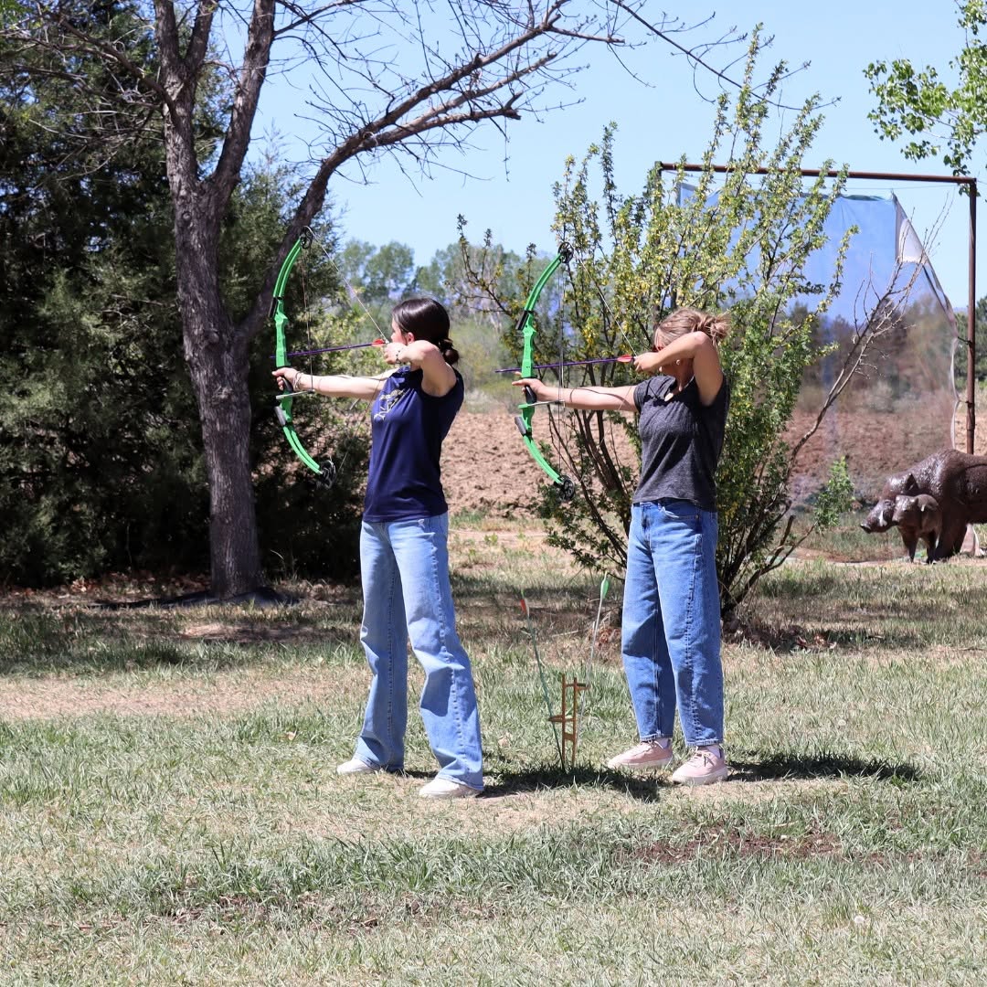 Two children stand outdoors aiming bows at a target, with trees and a pig in the background.