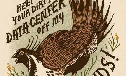 Illustration of a bird with a large tail, surrounded by grass, with text reading "Keep your dirt off my grasslands!"
