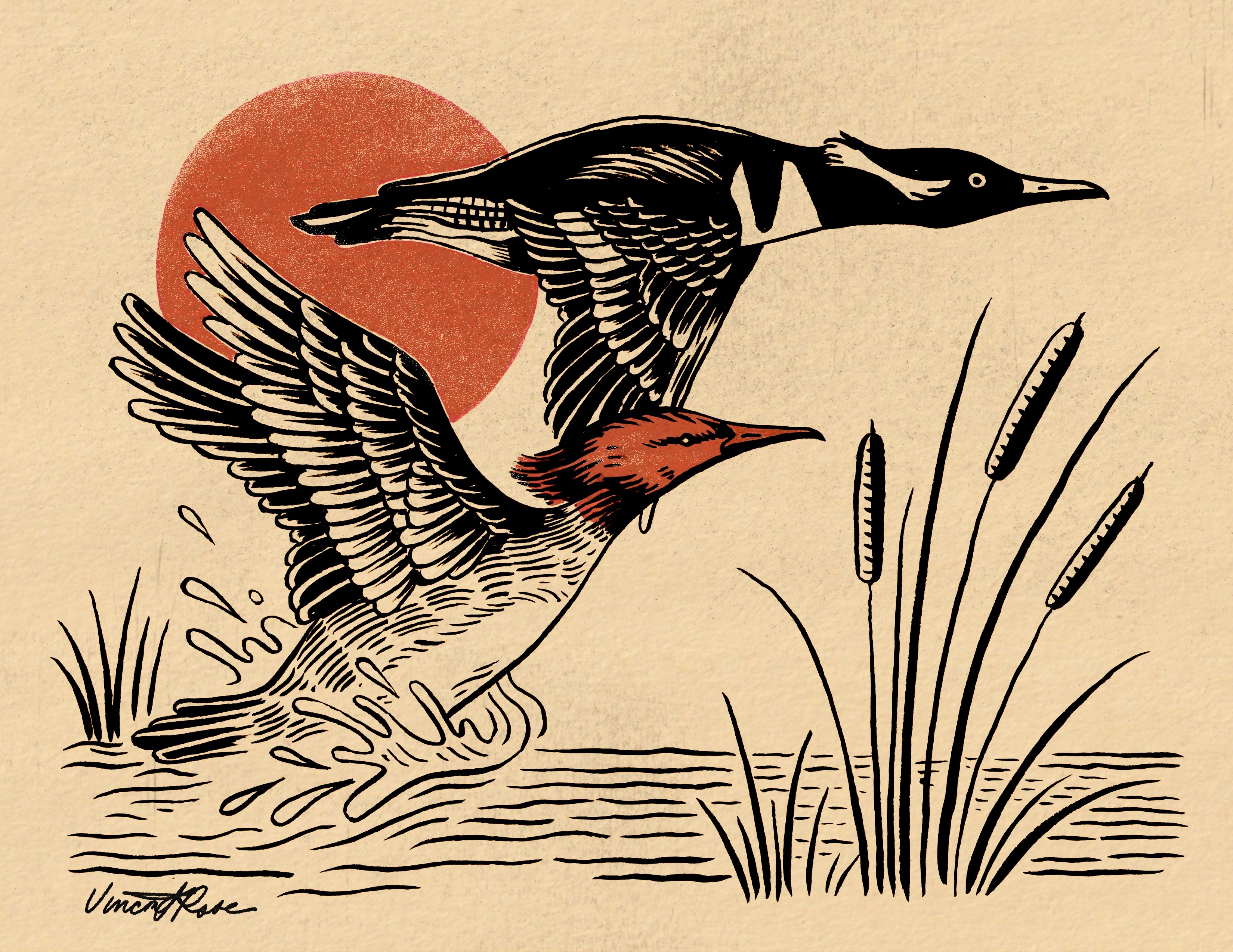 Two ducks flying over water with reeds and a red sun in the background.